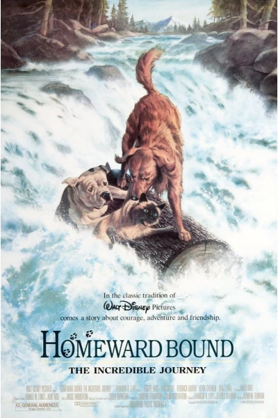 Homeward Bound 1 - The Incredible Journey Swedish Voices
