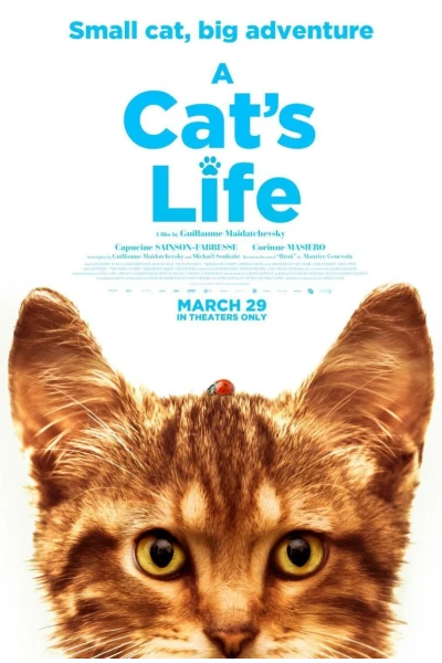 A Cat's Life Swedish आवाज़ें