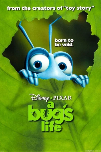 A Bug's Life