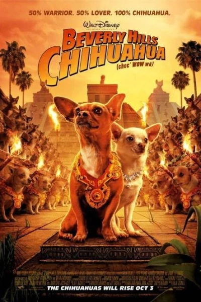 Le chihuahua de Beverly Hills