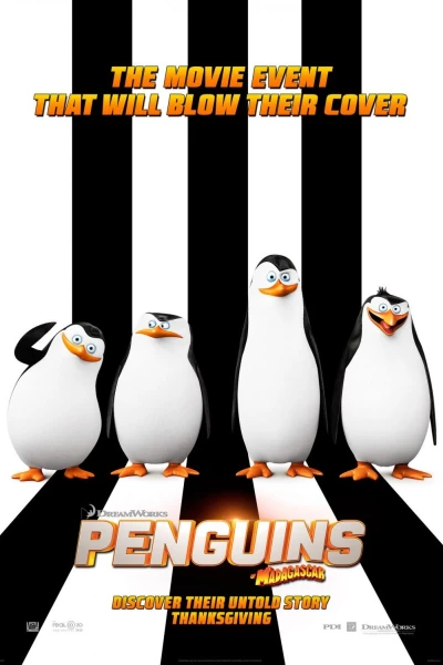 Madagaskar Penguenleri