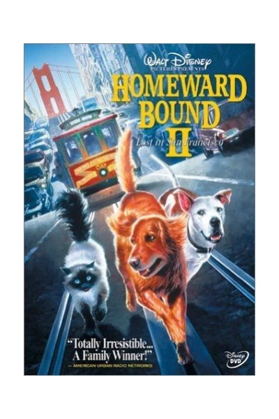 Homeward Bound II: Lost in San Francisco Engels stemmen